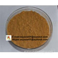 Natural Angelica Sinensis Extract Dang Gui/Dong Quai Extract Ligustilide